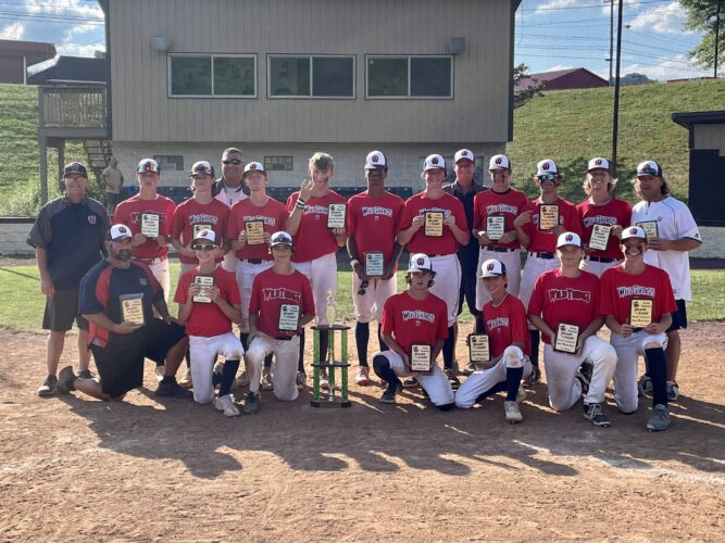 Wildthings 14U Crowned Champs